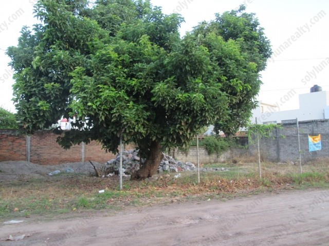 Lote Aldama | Independencia - Puerto Vallarta - Jalisco