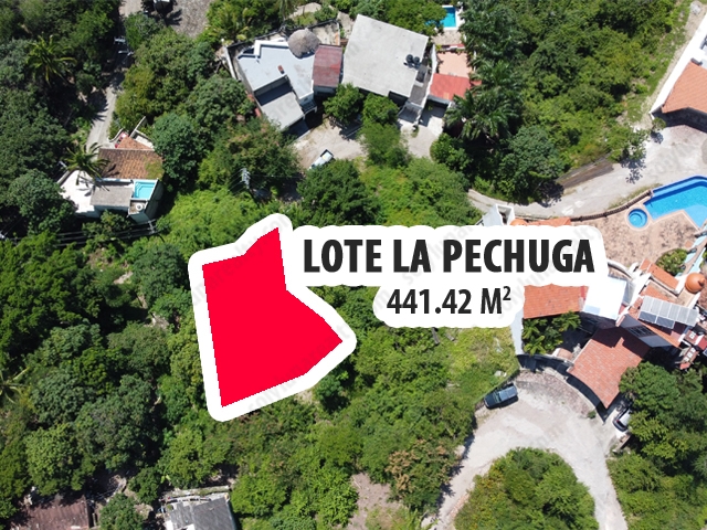 LOTE LA PECHUGA

Una ubicación privilegiada con vista a la cuidad.

Este terreno es una oportunidad para desarrolladores o cualquier persona con la idea de construir una propiedad con vistas espectaculares y ubicacion inmejorable. Unico lote en el area disponible y listo para costrucción.

El Lote La Pechuga tiene una superficie de 441.42 m2, sus delimitantes son:


	Noroeste: 8,95 mts, mas 17.74 mts, con Lote 6.
	Suroeste: 5.97 mts, mas 5.67 mts, mas 4.29  mts, mas 3.24 mts, mas 4.81 mts, con calle Jamaica.
	Sureste 24.15 mts con Lote 4.
	Noreste 4.99 mts, mas 11.30, con Lote 10.
	Terreno de forma irregular.
	Topografia Ascendente.
	Vista a la Montaña.
	Uso de Suelo: Habitacional de Alta Densidad, segun el Plan de Desarrollo Urbano del Municipio.

