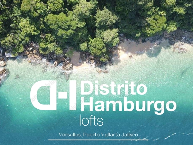 Distrito Hamburgo PH B | Versalles - Puerto Vallarta - Jalico