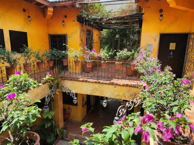 Local los Mercados | centro vallarta  - Puerto Vallarta - Jalisco