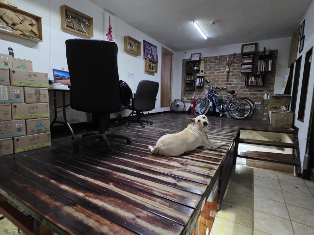 Casa Jardines Vallarta | Jardines  Vallarta - Puerto Vallarta - Jalisco