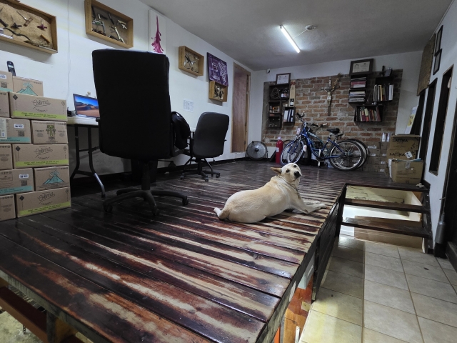 Casa Jardines Vallarta | Jardines  Vallarta - Puerto Vallarta - Jalisco