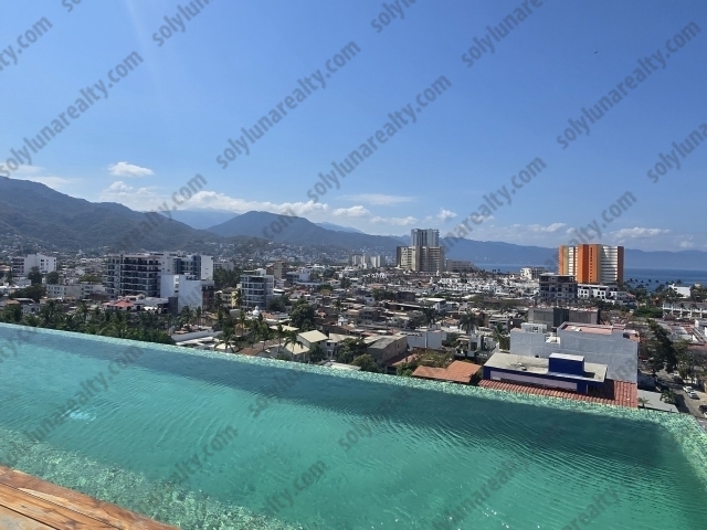 Rosa Morada A2 | Versalles - Puerto Vallarta - jalisco