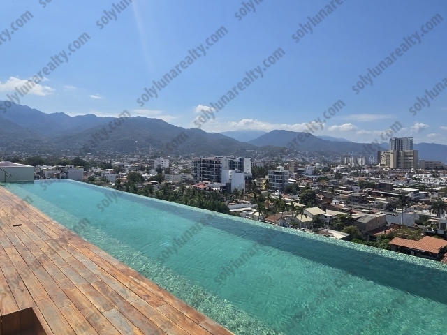 Rosa Morada A2 | Versalles - Puerto Vallarta - jalisco