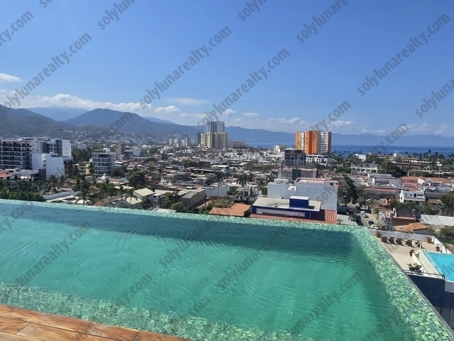 Rosa Morada A2 | Versalles - Puerto Vallarta - jalisco