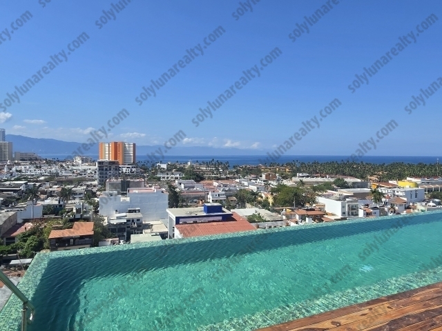 Rosa Morada A2 | Versalles - Puerto Vallarta - jalisco
