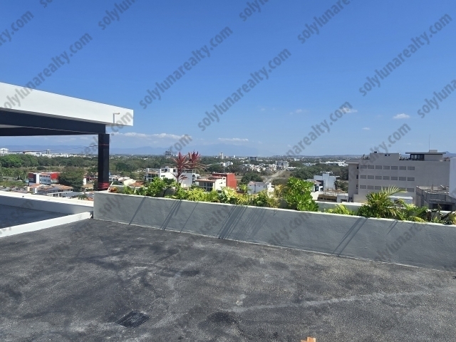 Rosa Morada A2 | Versalles - Puerto Vallarta - jalisco